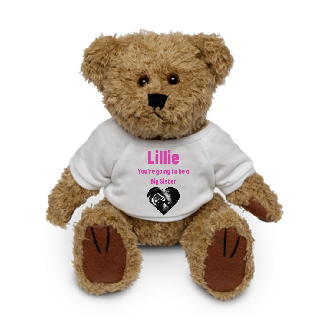 Personalised Teddy Bear | Big Sister, Big Brother Gift | Pregnancy Siblings Announcement