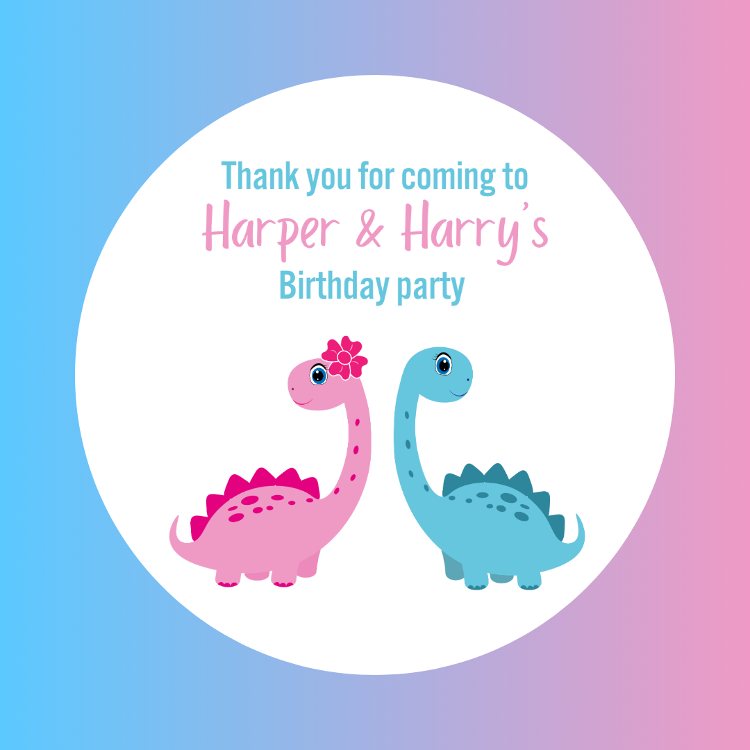 Blue Pink Dinosaur Party Stickers | Twin, Brother Sister Party | Circle Stickers | Sticker Sheet | Party Stickers | Dinosaur Party Theme