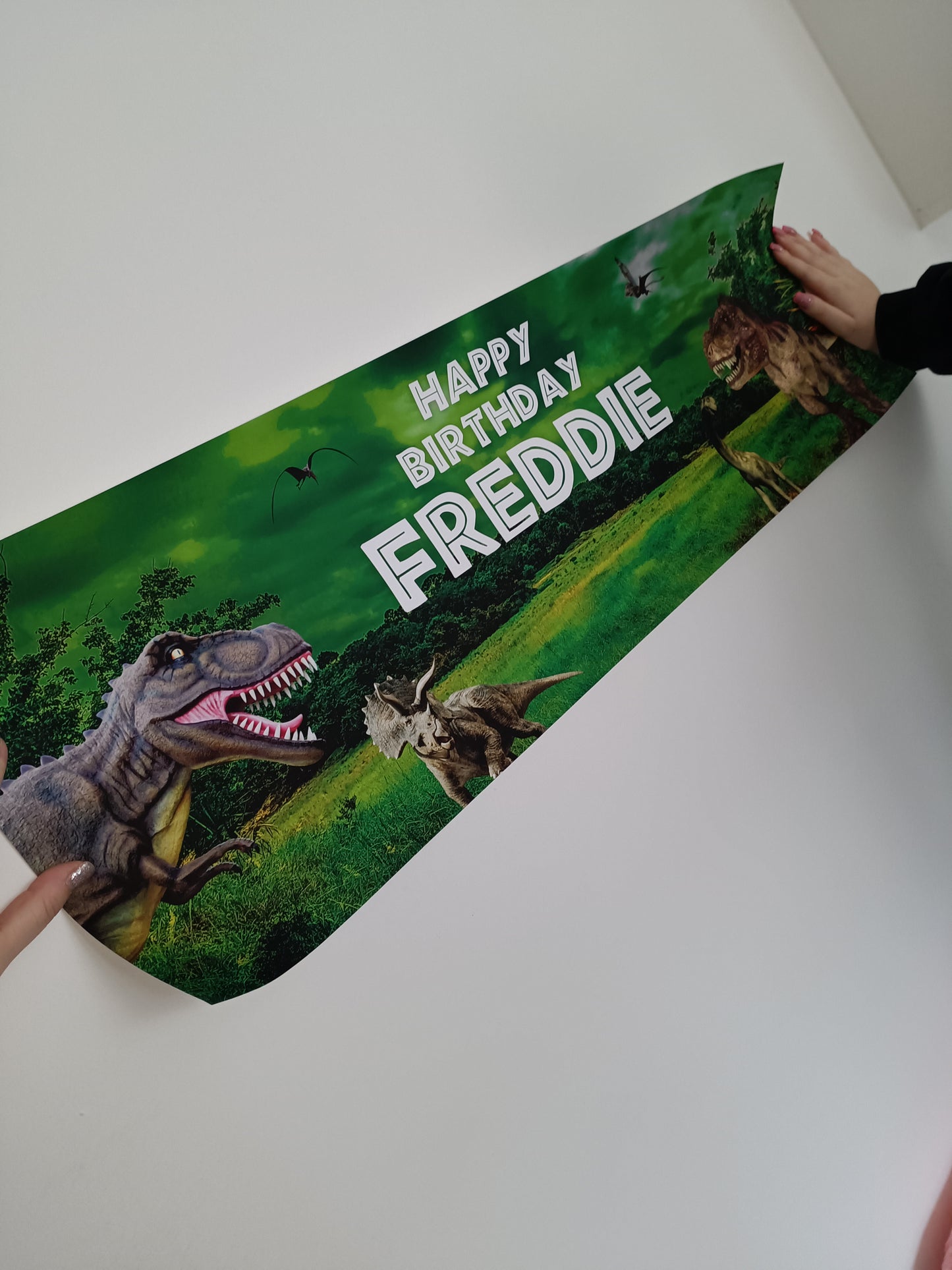SALE ITEM | Dinosaur Banner | Happy Birthday Freddie | Personalised Birthday Banner
