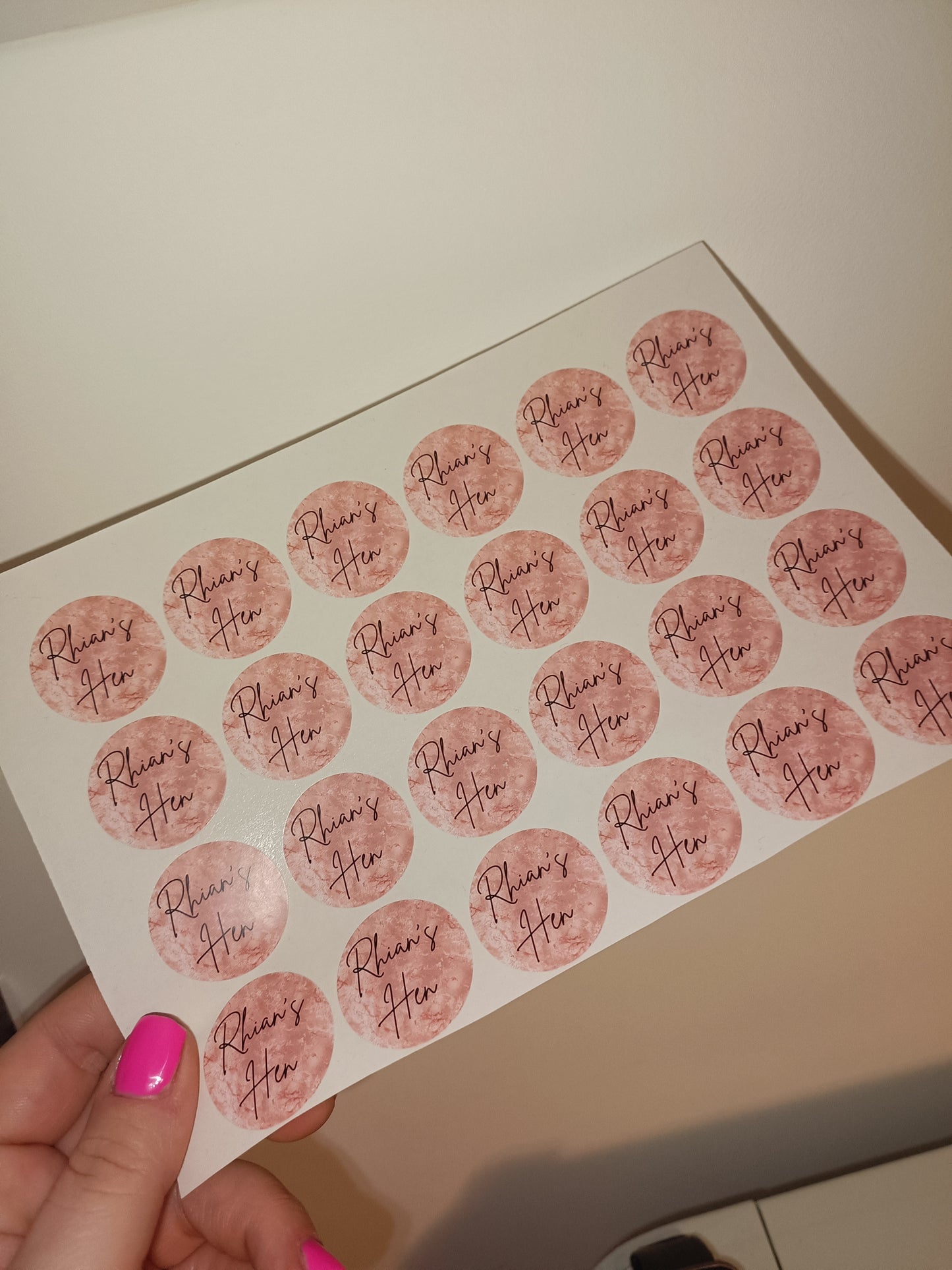 24 x Blush Pink Stickers | Rhian's Hen | SALE ITEM