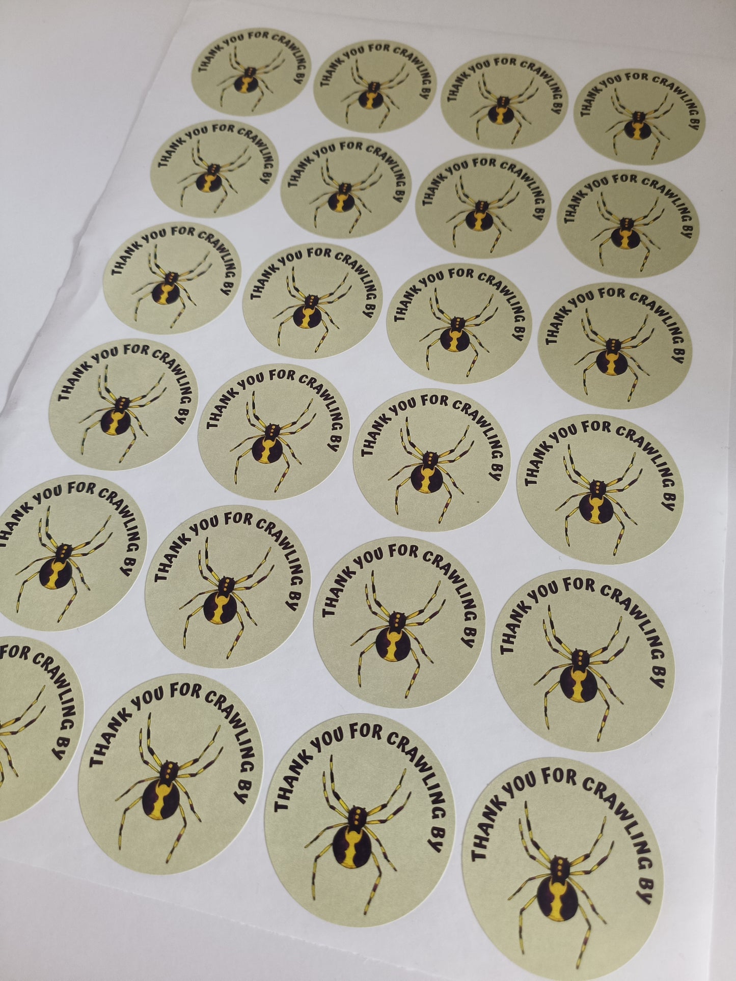 Spider Party Stickers | Circle Stickers | Sticker Sheet | Party Stickers | Reptile Theme
