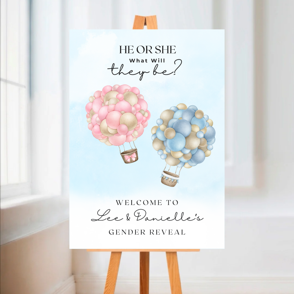 Pink Blue Baby Hot Air Balloon Gender Reveal Welcome Board Sign | Personalised Gender Reveal Board | Party Sign | A4, A3, A2
