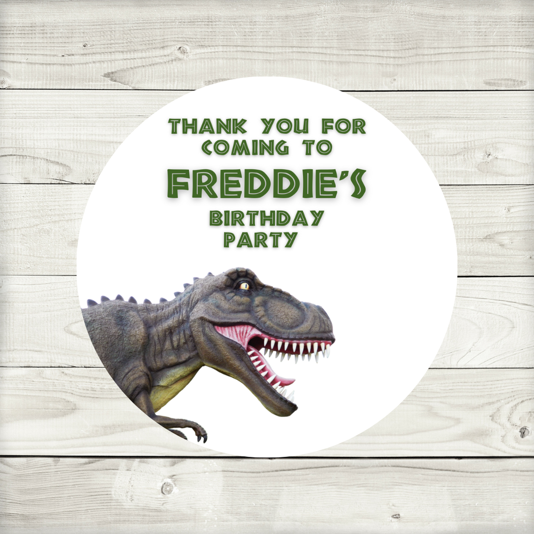 Dinosaur Party Stickers | Circle Stickers | Sticker Sheet | Party Stickers | Dinosaur Party Theme | Design 1