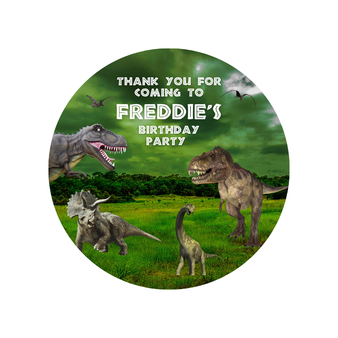 Dinosaur Party Stickers | Circle Stickers | Sticker Sheet | Party Stickers | Dinosaur Party Theme | Design 4