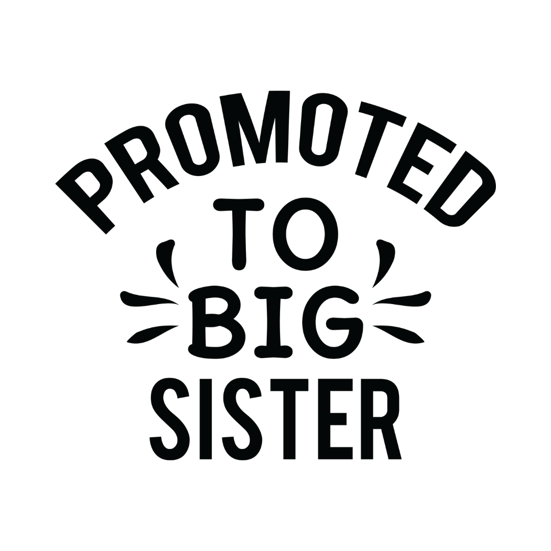 Promoted To Big Sister Sticker | *Sticker Only* | Sticker Decal