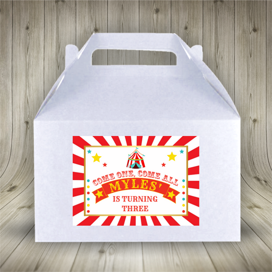 Party Boxes | Circus Party Boxes | Circus Party | Party Boxes | Circus Party Decor | Party Bags