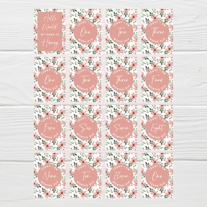 Milestone Cards | A6 Baby Milestone Cards | Pink Floral Theme | New Baby Gift Idea