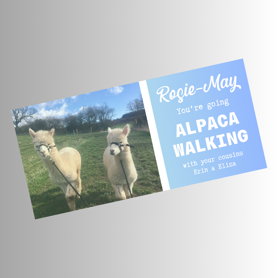 Surprise Ticket Print | Personalised Alpaca Walking Ticket Pass Voucher Membership | Gift Idea
