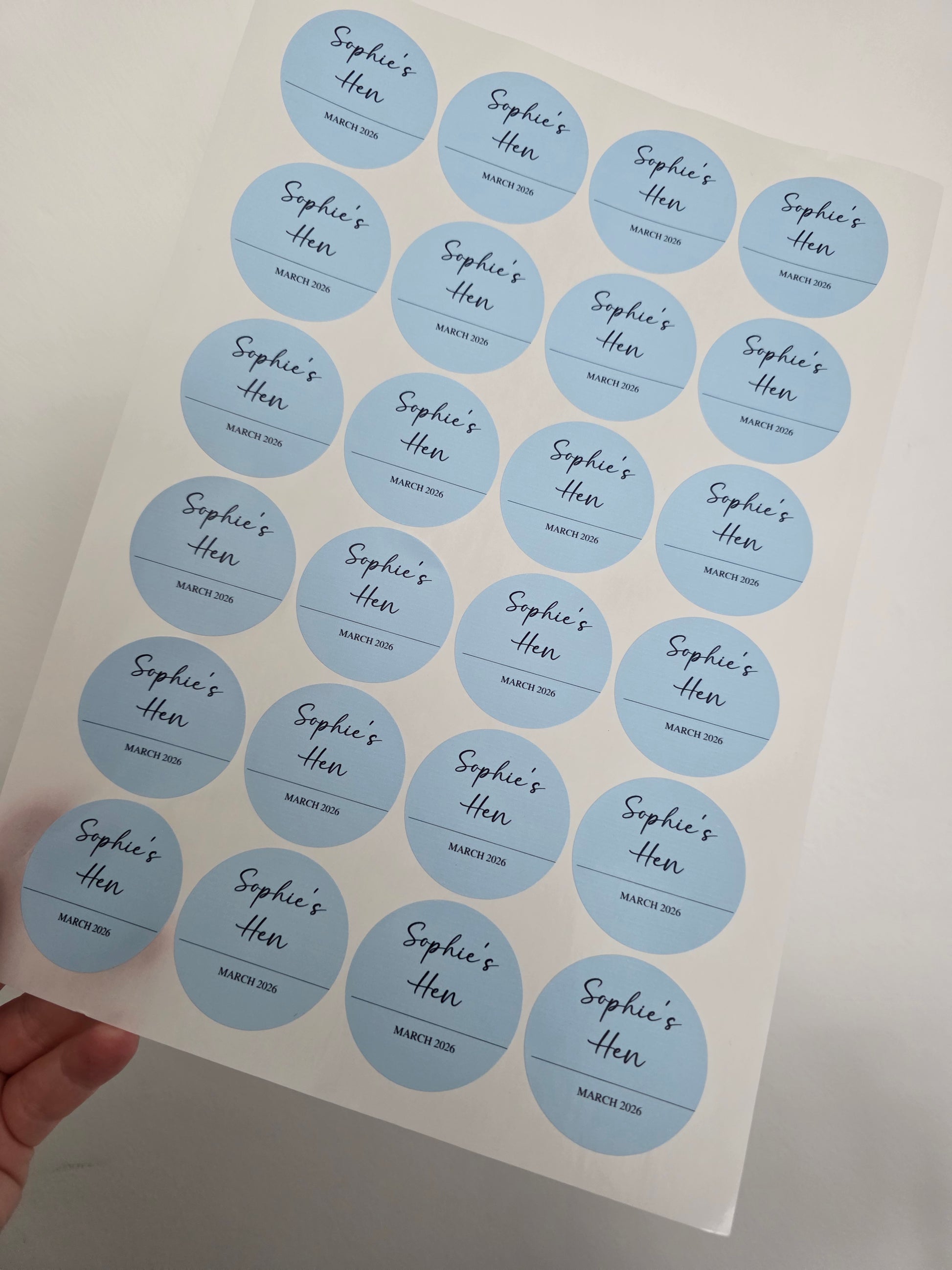 Blue Hen Party Stickers | Sticker Sheet 45mm Circles | Party Stickers | Circle Stickers | Sticker Sheet - Dinky Designs