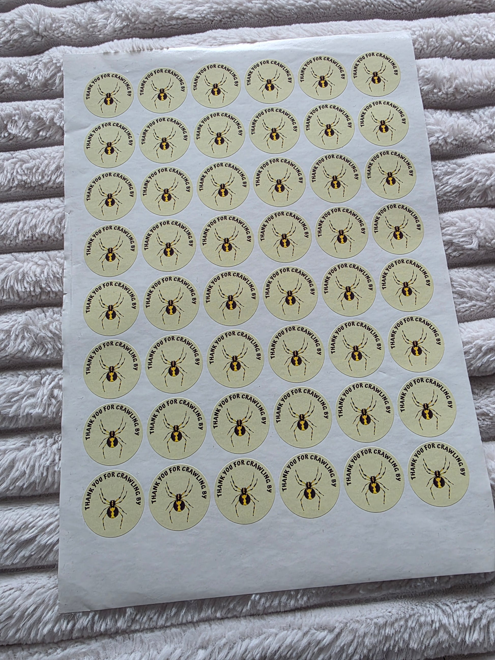 SALE - Spider Reptile Stickers | 30MM | Crawling By | Reptile Party Theme - Dinky Designs