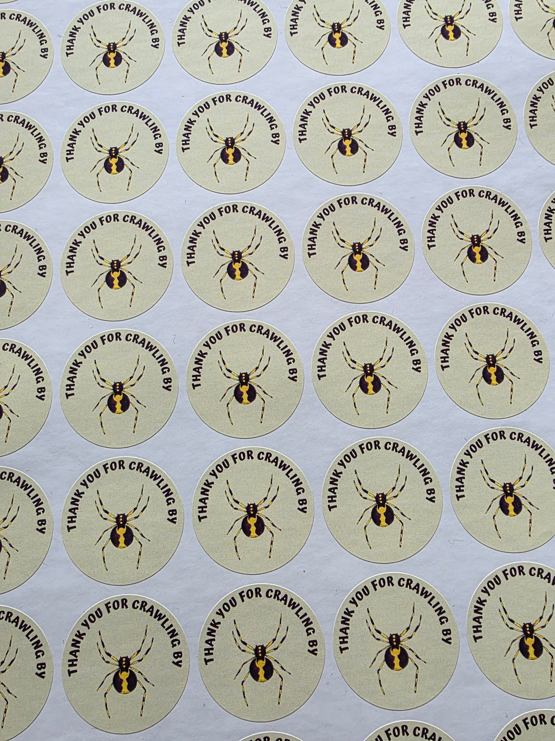 SALE - Spider Reptile Stickers | 30MM | Crawling By | Reptile Party Theme - Dinky Designs
