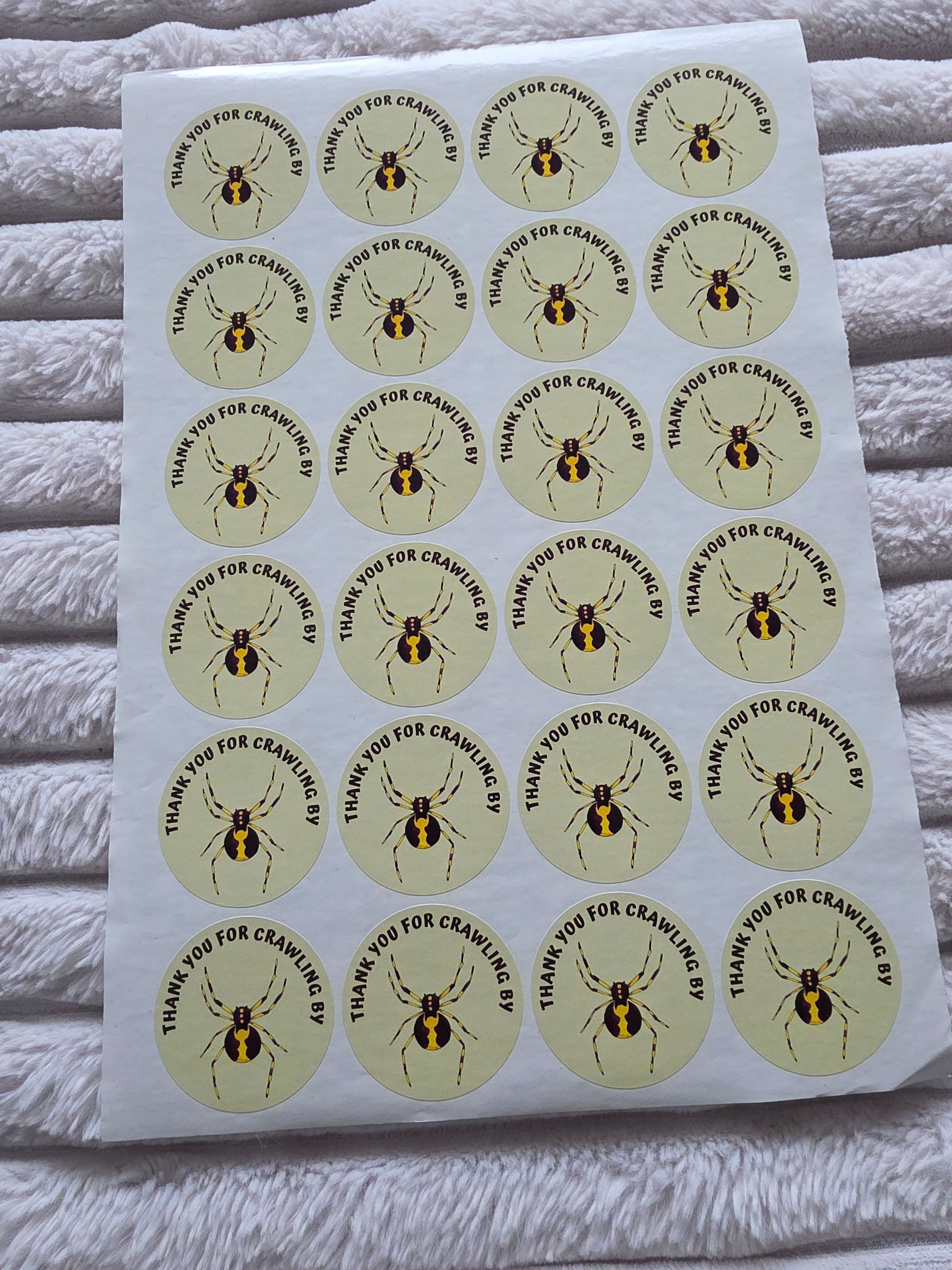 SALE - Spider Reptile Stickers | 45MM | Crawling By | Reptile Party Theme - Dinky Designs