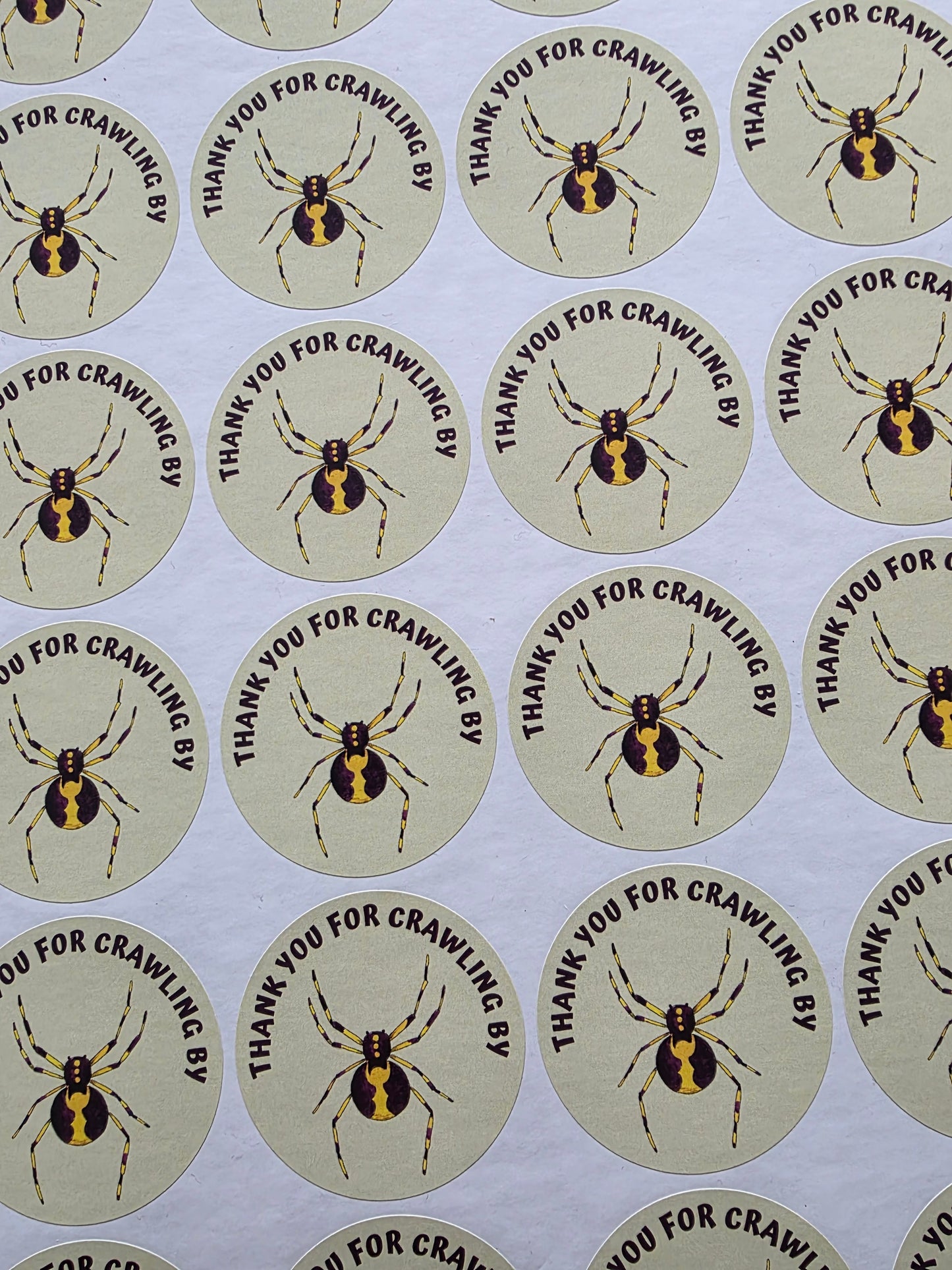 SALE - Spider Reptile Stickers | 45MM | Crawling By | Reptile Party Theme - Dinky Designs