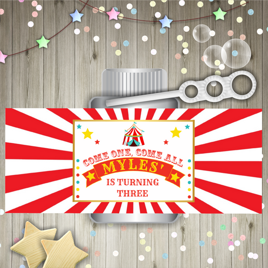 Bubble Wrapper Sticker Labels | Circus Bubble Labels | Bubble Stickers | Bubble Party Favours | Party Stickers