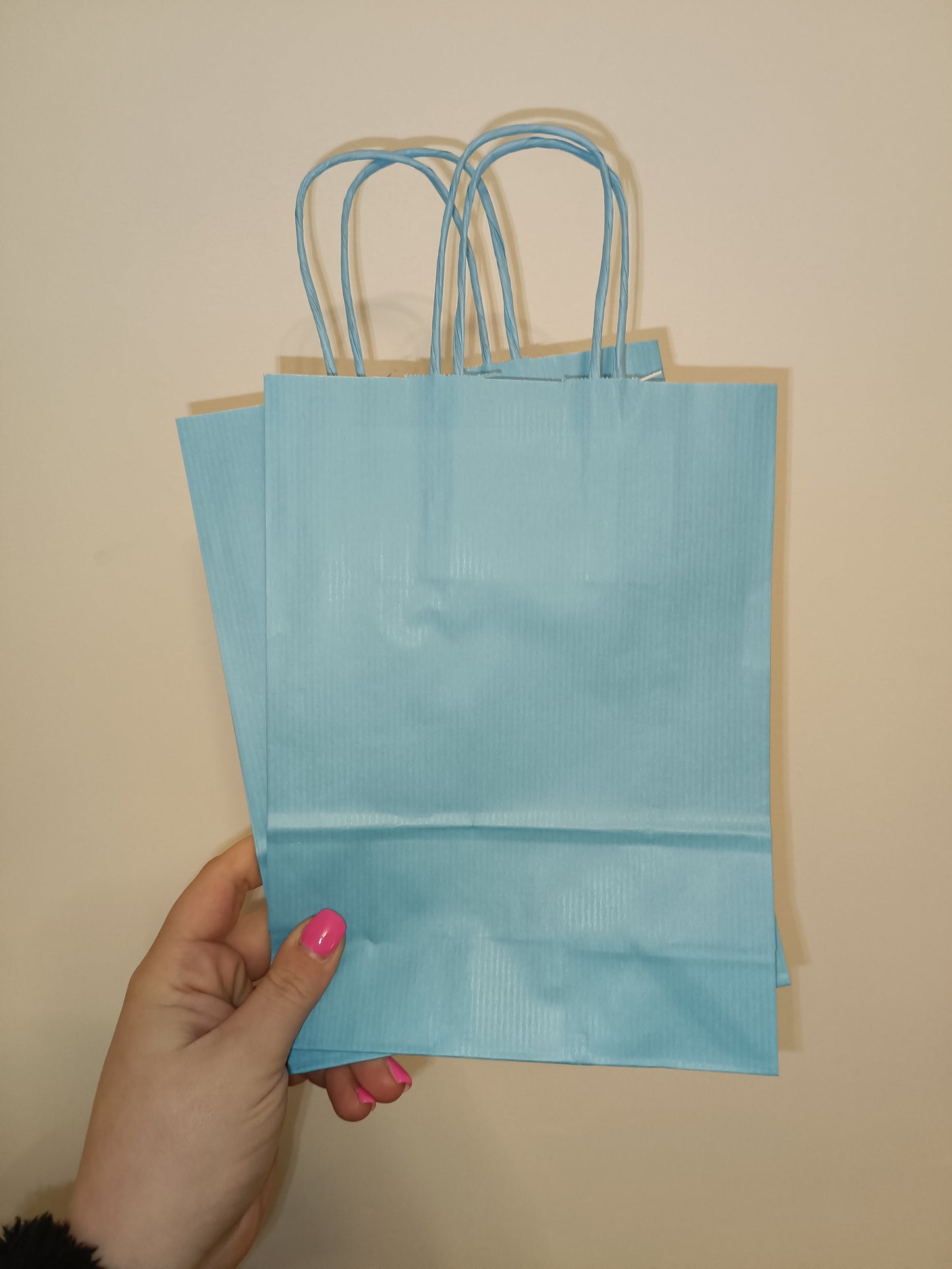 SALE ITEM | Blue Party Bags | Party Favours