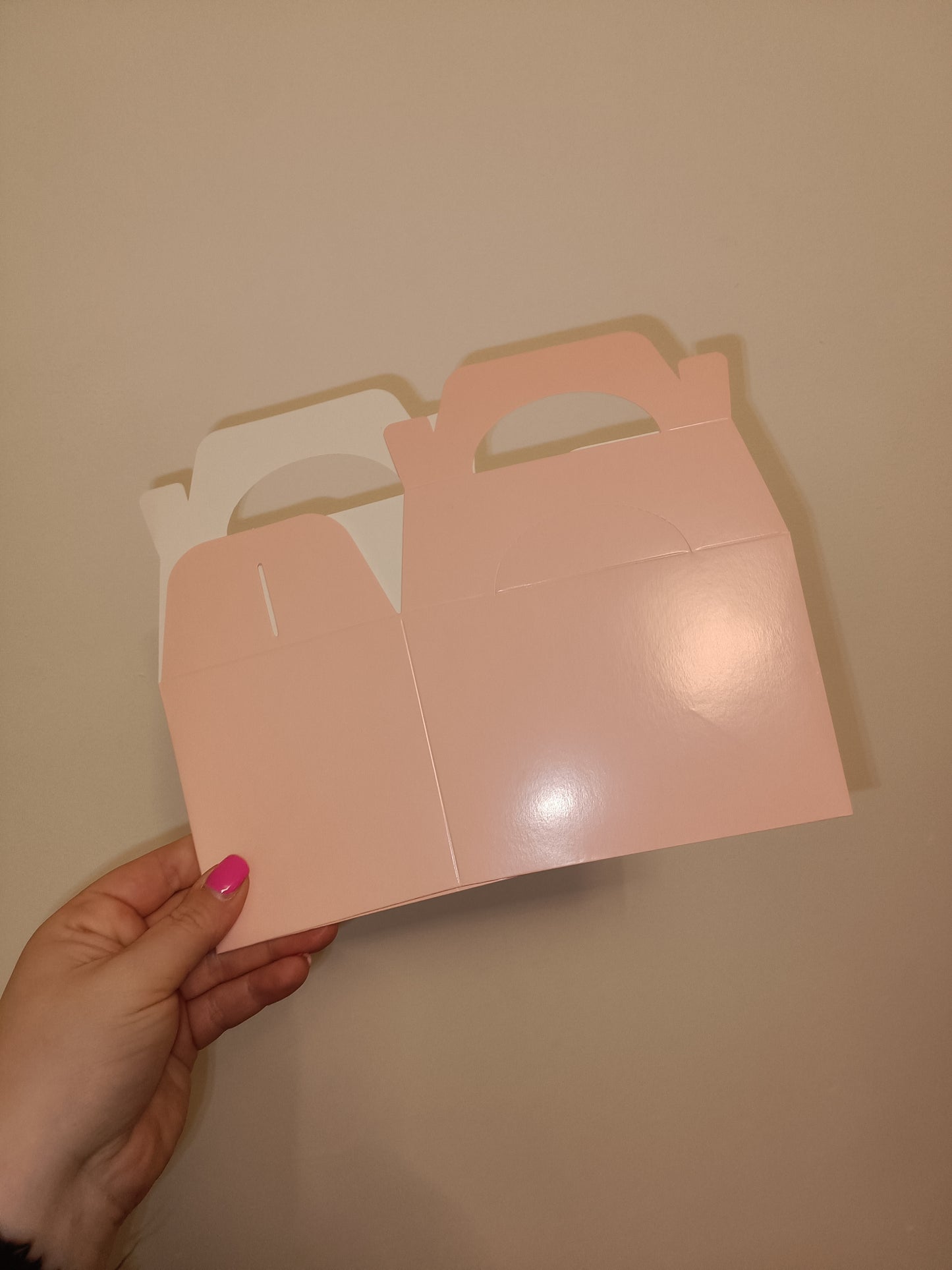 SALE ITEM | Baby Pink Party Boxes | Party Favours (Copy)