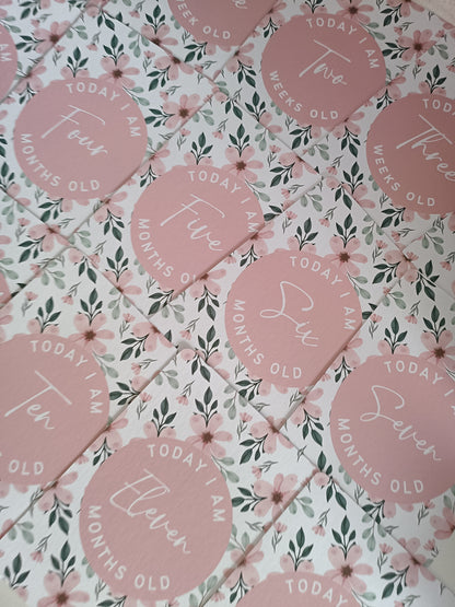 Milestone Cards | A6 Baby Milestone Cards | Pink Floral Theme | New Baby Gift Idea
