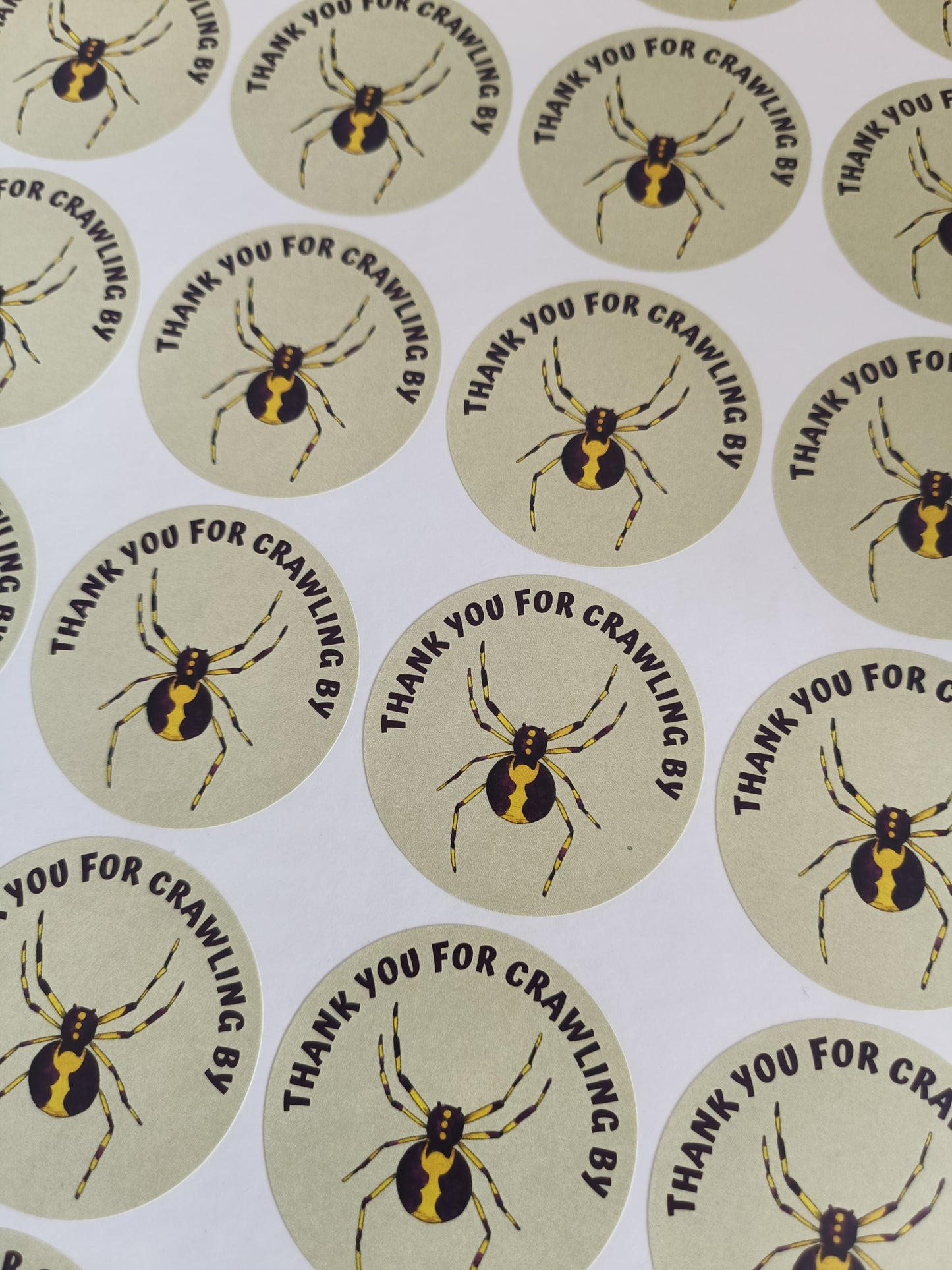 Spider Party Stickers | Circle Stickers | Sticker Sheet | Party Stickers | Reptile Theme