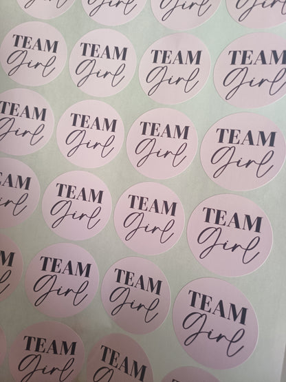 Baby Shower Stickers | Pink Team Girl - Blue Team Boy Party Stickers | Baby Shower Labels