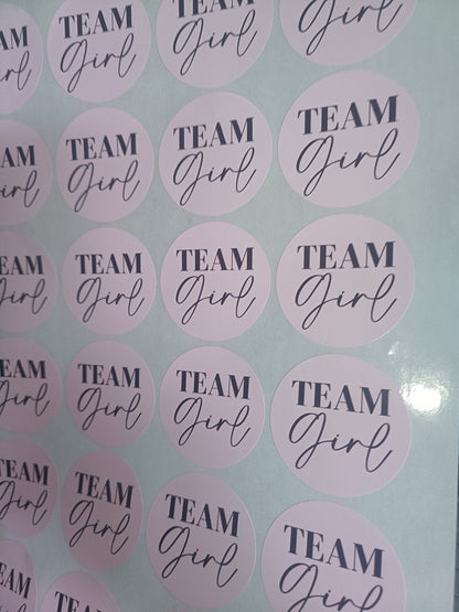 Baby Shower Stickers | Pink Team Girl - Blue Team Boy Party Stickers | Baby Shower Labels
