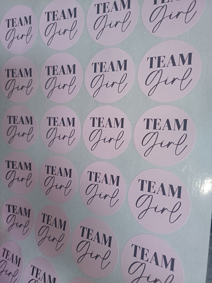 Baby Shower Stickers | Pink Team Girl - Blue Team Boy Party Stickers | Baby Shower Labels