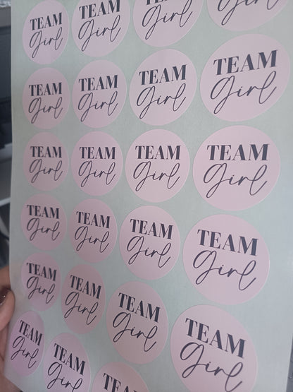 Baby Shower Stickers | Pink Team Girl - Blue Team Boy Party Stickers | Baby Shower Labels