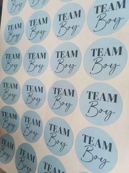 Baby Shower Stickers | Pink Team Girl - Blue Team Boy Party Stickers | Baby Shower Labels