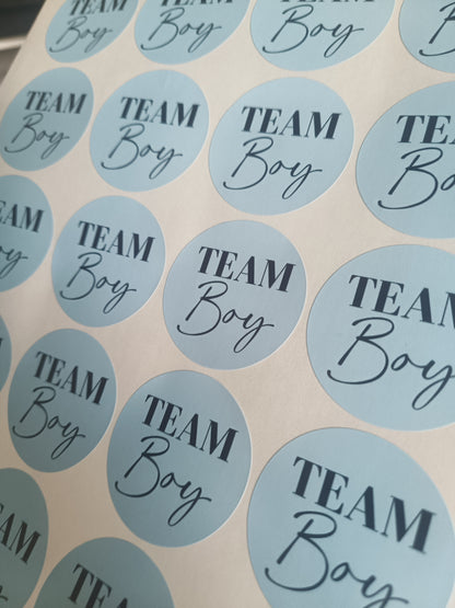Baby Shower Stickers | Pink Team Girl - Blue Team Boy Party Stickers | Baby Shower Labels