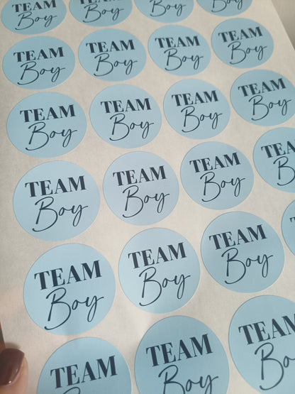 Baby Shower Stickers | Pink Team Girl - Blue Team Boy Party Stickers | Baby Shower Labels