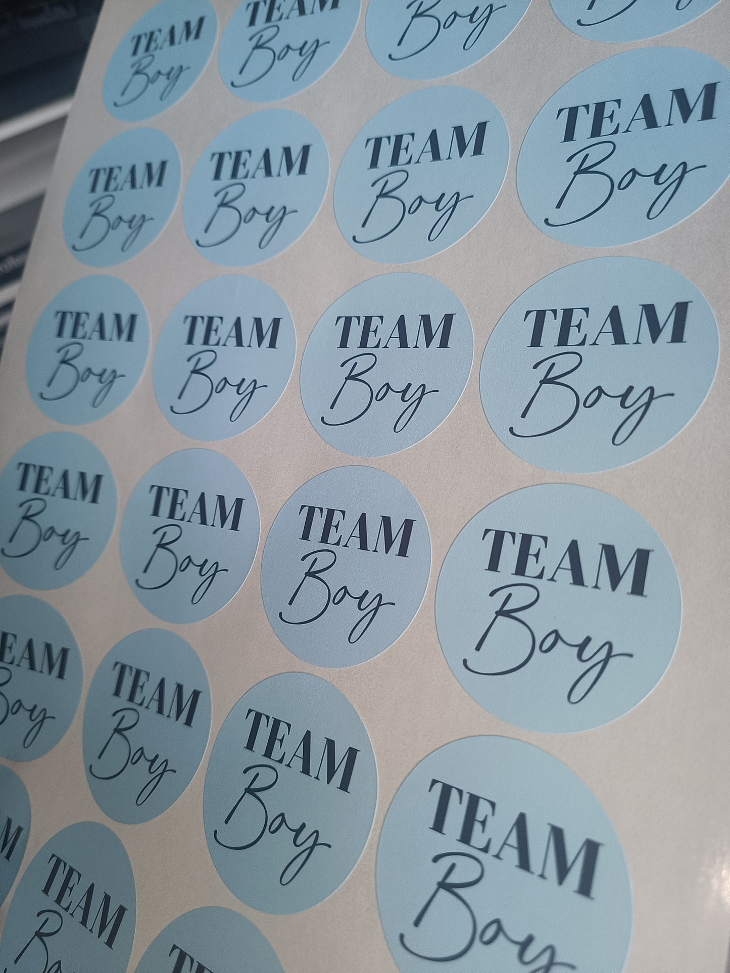 Baby Shower Stickers | Pink Team Girl - Blue Team Boy Party Stickers | Baby Shower Labels
