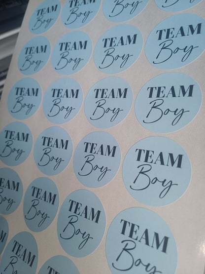 Baby Shower Stickers | Pink Team Girl - Blue Team Boy Party Stickers | Baby Shower Labels
