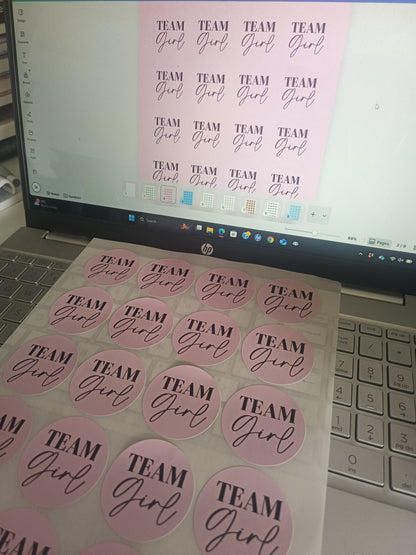 Baby Shower Stickers | Pink Team Girl - Blue Team Boy Party Stickers | Baby Shower Labels