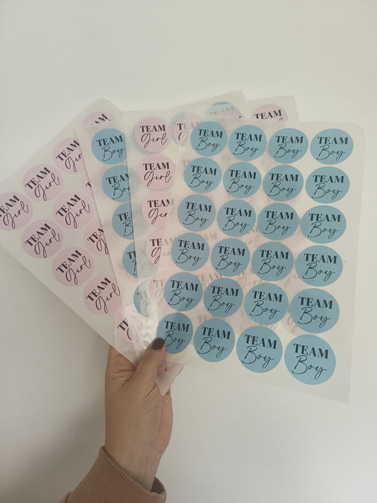 Baby Shower Stickers | Pink Team Girl - Blue Team Boy Party Stickers | Baby Shower Labels