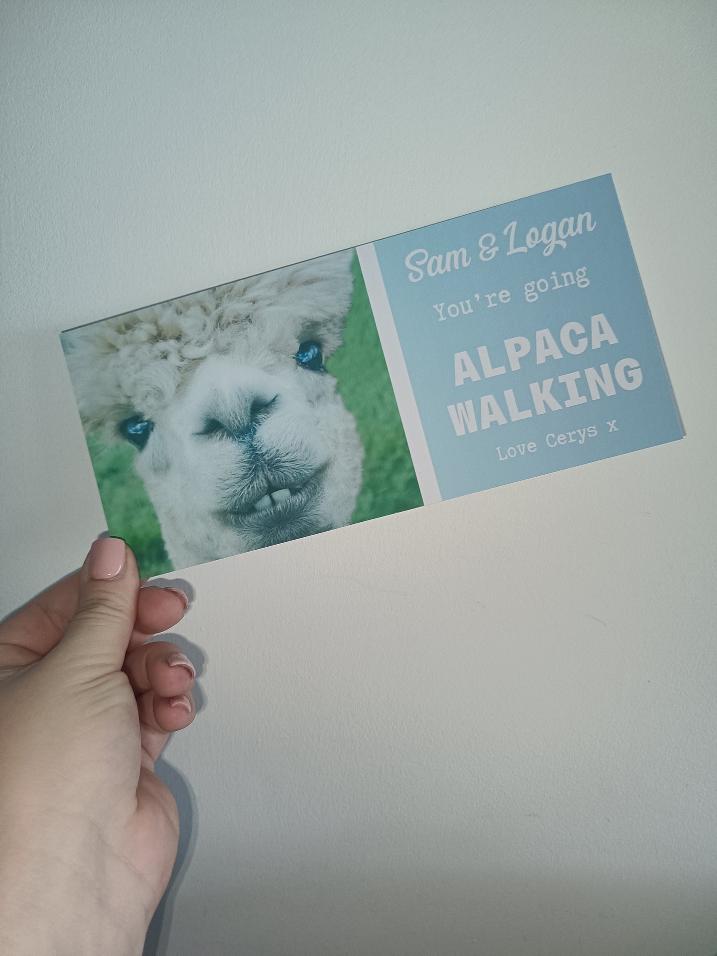 Surprise Ticket Print | Personalised Alpaca Walking Ticket Pass Voucher Membership | Gift Idea