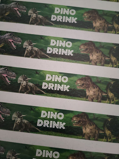 Juice Bottle Labels | Dinosaur Labels | Water Bottle Stickers | Dinosaur Party | Party Stickers