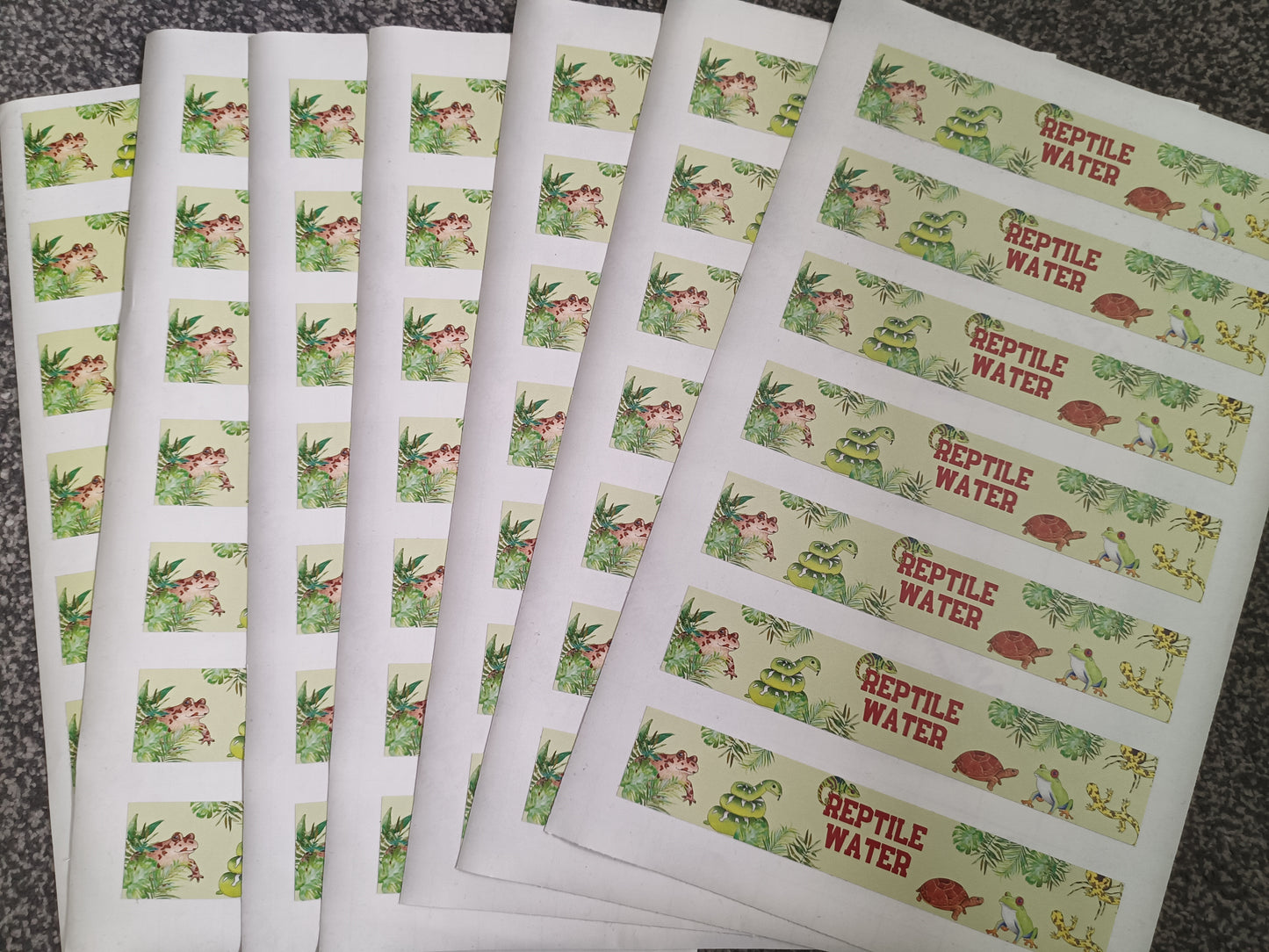 SALE - 7 x Reptile Water Reptile Label Stickers | Water Bottle Stickers | Reptile Theme