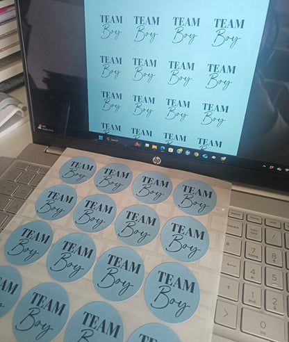 Baby Shower Stickers | Pink Team Girl - Blue Team Boy Party Stickers | Baby Shower Labels