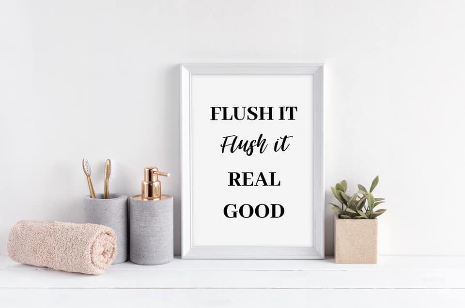 Bathroom Print | Flush It, Flush It Real Good | Quote Print - Dinky Designs