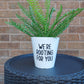 Plant Pot Sticker | We're Rooting For You | Funny Gift Idea | Sticker Decal