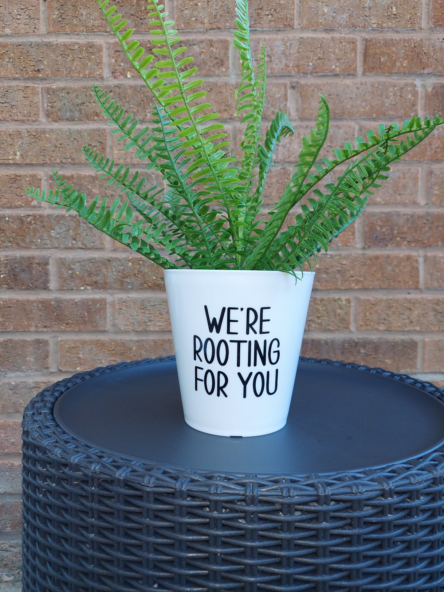 Plant Pot Sticker | We're Rooting For You | Funny Gift Idea | Sticker Decal