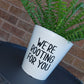 Plant Pot Sticker | We're Rooting For You | Funny Gift Idea | Sticker Decal