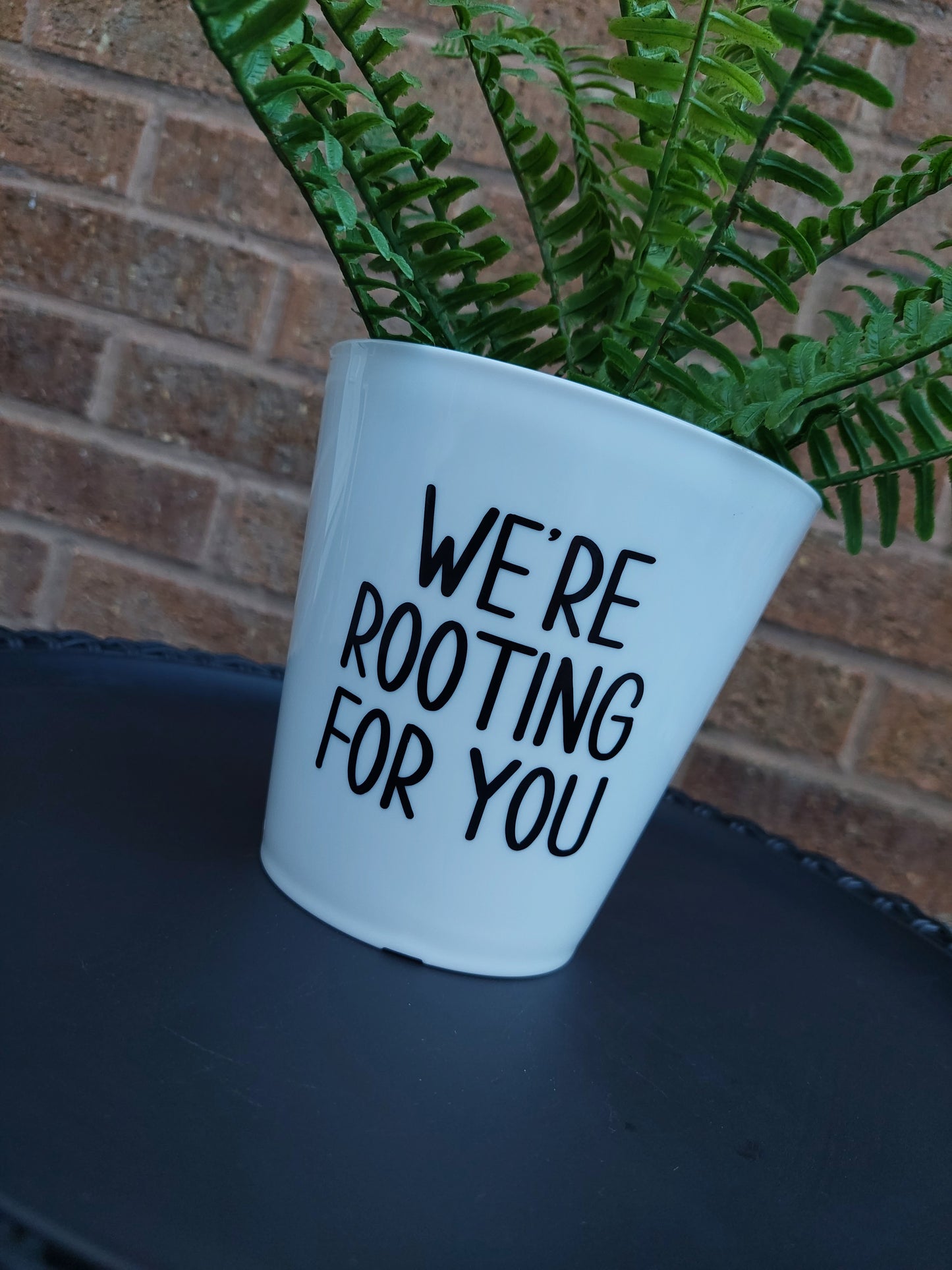 Plant Pot Sticker | We're Rooting For You | Funny Gift Idea | Sticker Decal