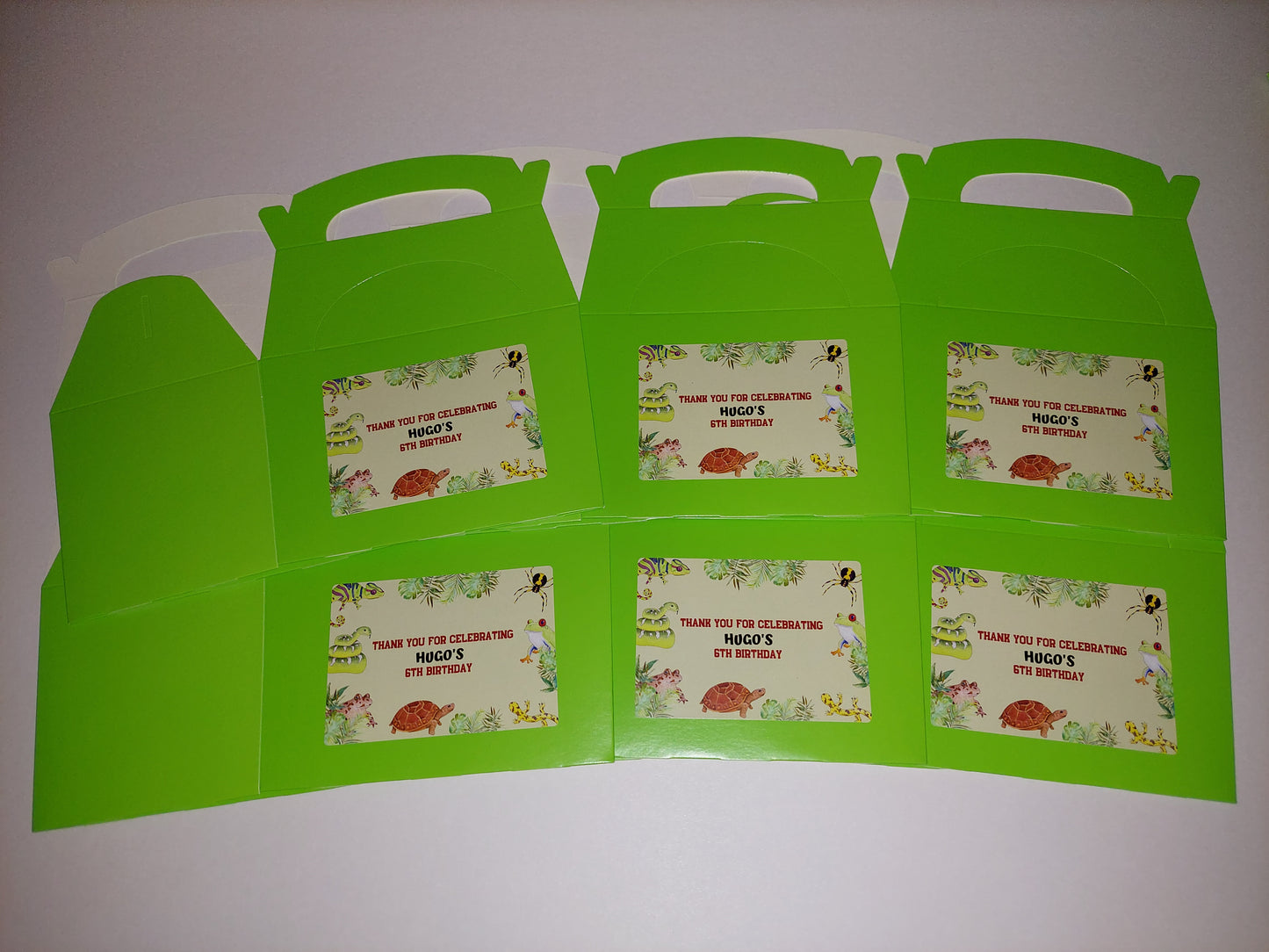 Reptile Party Boxes | Party Boxes | Reptile Party | Reptile Party Decor | Party Bags