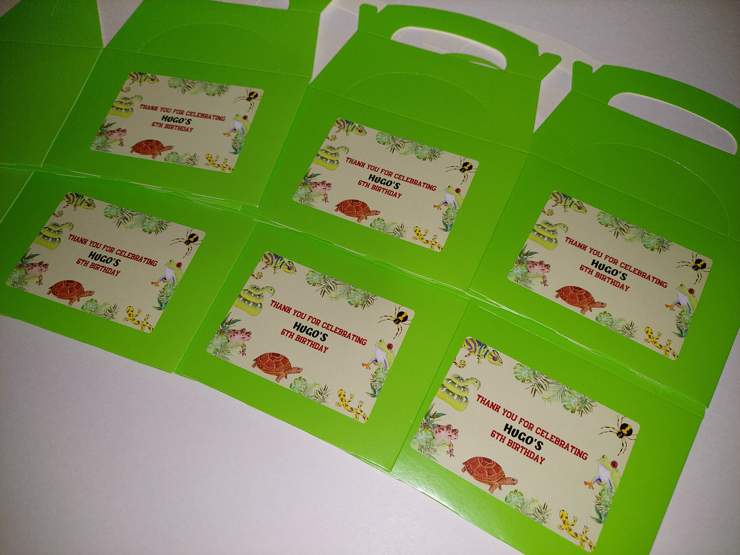 Reptile Party Boxes | Party Boxes | Reptile Party | Reptile Party Decor | Party Bags