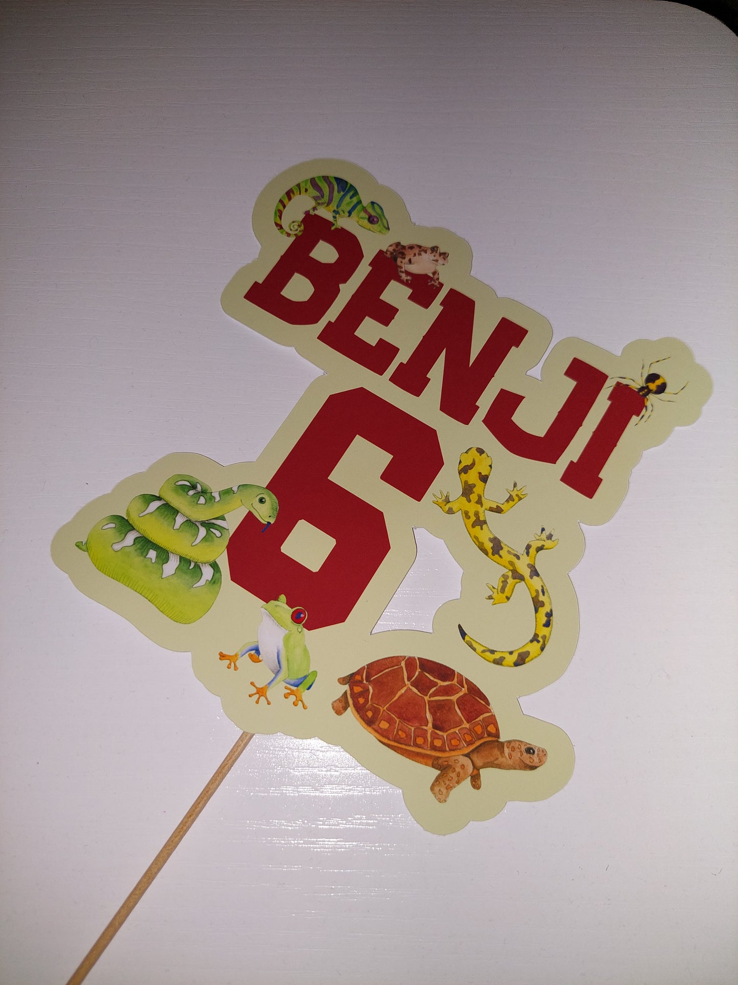 Cake Topper | Personalised Reptile Cake Topper | Reptile Party Supplies