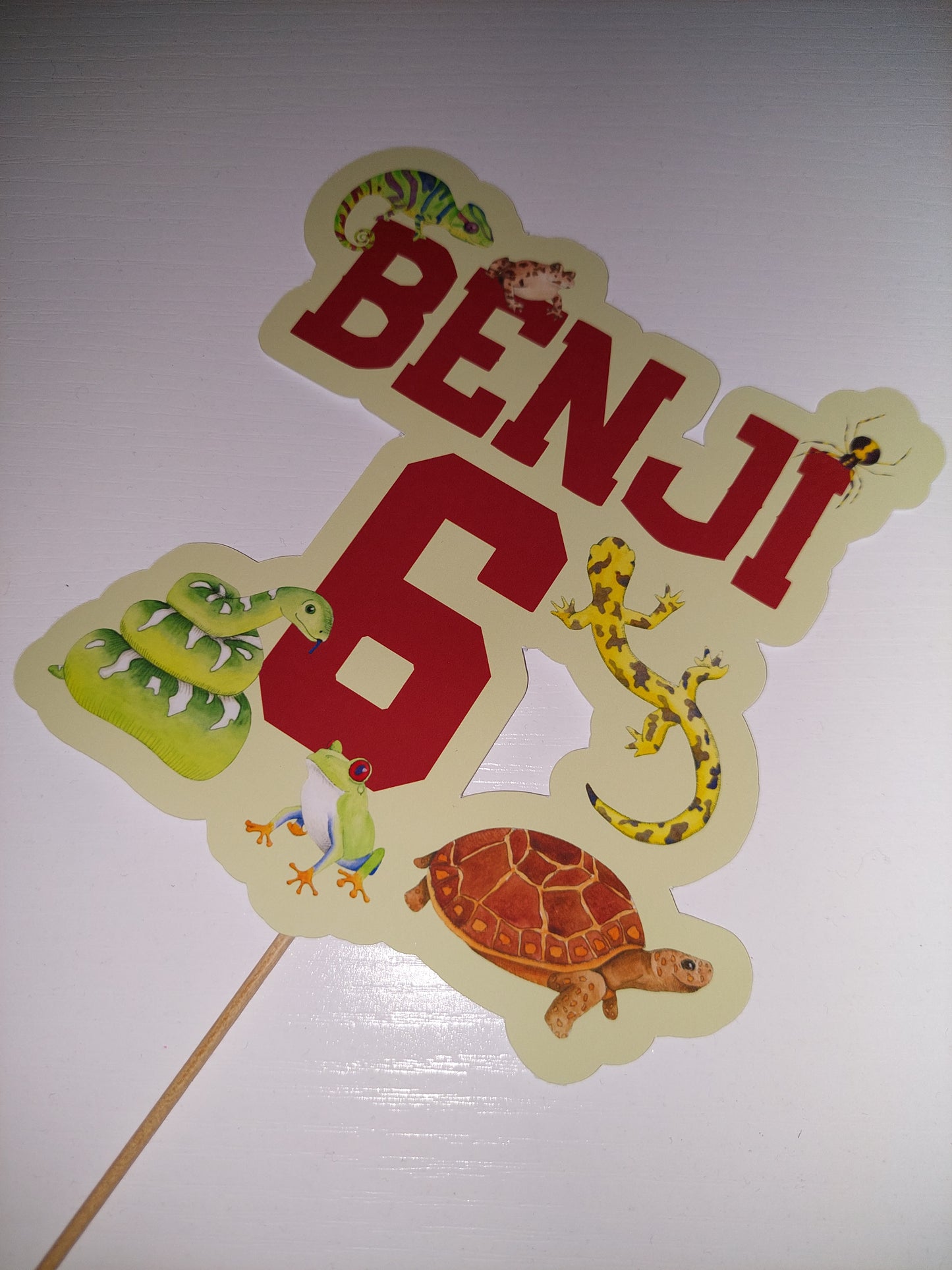 Cake Topper | Personalised Reptile Cake Topper | Reptile Party Supplies