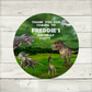 Dinosaur Party Stickers | Circle Stickers | Sticker Sheet | Party Stickers | Dinosaur Party Theme | Design 4