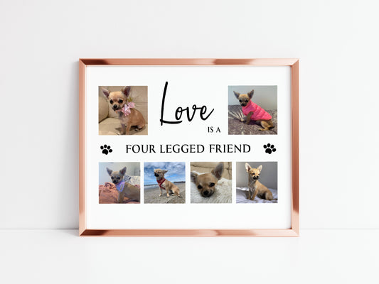 Pet Print | Love Is A Four Legged Friend | Family Print | Pet Gift - Dinky Designs