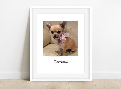 Pet Print | Photo Print | Family Print | Pet Gift | Personalised Print