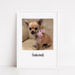 Pet Print | Photo Print | Family Print | Pet Gift | Personalised Print